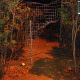 Uno dei tanti buchi della recinzione del Parco utilizzati da chi vi accede una volta chiusi i cancelli